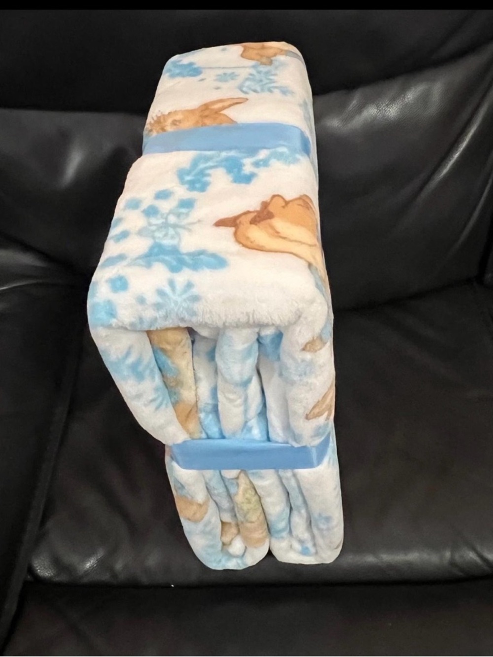 Easter Peter Rabbit Twin Blanket - Picture 3 of 4